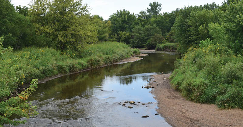 The 1,100-acre Buffalo Creek Wildlife Area is fast becoming the secret hotspot for deer, turkey, dove, pheasant, duck, squirrel and rabbit hunting. When hunting seasons close, the focus turns to mushrooms, kayaking, camping and bird watching. | Iowa DNR